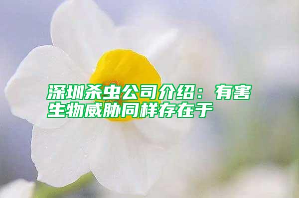 深圳殺蟲(chóng)公司介紹：有害生物威脅同樣存在于