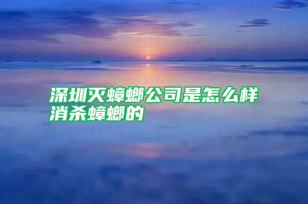 深圳滅蟑螂公司是怎么樣消殺蟑螂的