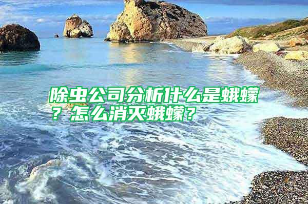 除蟲公司分析什么是蛾蠓？怎么消滅蛾蠓？