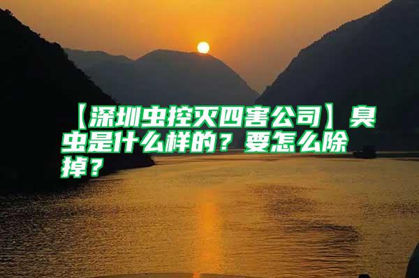 【深圳蟲(chóng)控滅四害公司】臭蟲(chóng)是什么樣的？要怎么除掉？