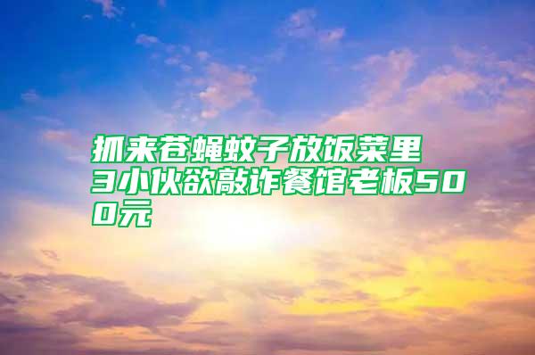 抓來蒼蠅蚊子放飯菜里 3小伙欲敲詐餐館老板500元