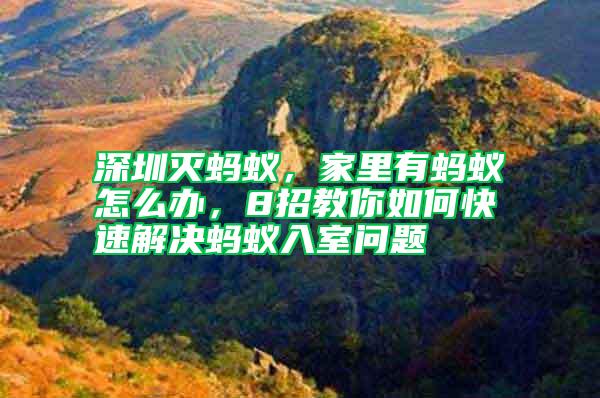 深圳滅螞蟻，家里有螞蟻怎么辦，8招教你如何快速解決螞蟻入室問題