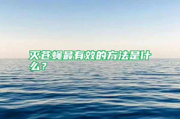 滅蒼蠅最有效的方法是什么？