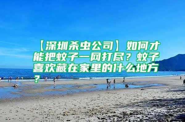 【深圳殺蟲公司】如何才能把蚊子一網(wǎng)打盡？蚊子喜歡藏在家里的什么地方？