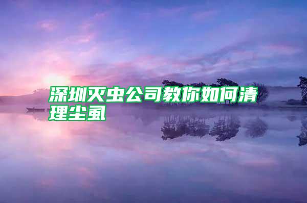 深圳滅蟲公司教你如何清理塵虱