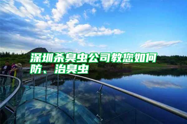 深圳殺臭蟲公司教您如何防、治臭蟲