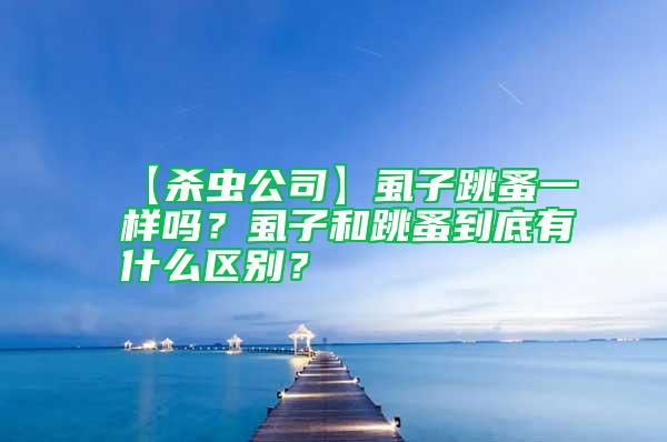 【殺蟲公司】虱子跳蚤一樣嗎？虱子和跳蚤到底有什么區(qū)別？