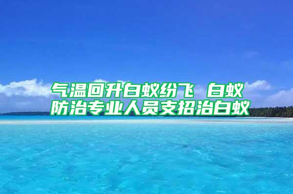 氣溫回升白蟻紛飛 白蟻防治專業(yè)人員支招治白蟻