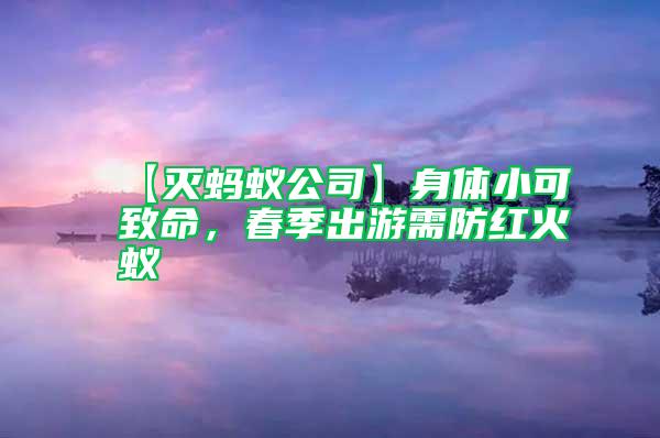 【滅螞蟻公司】身體小可致命，春季出游需防紅火蟻