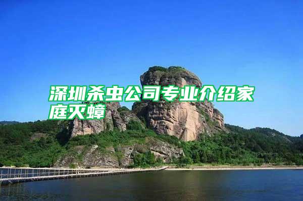 深圳殺蟲公司專業(yè)介紹家庭滅蟑