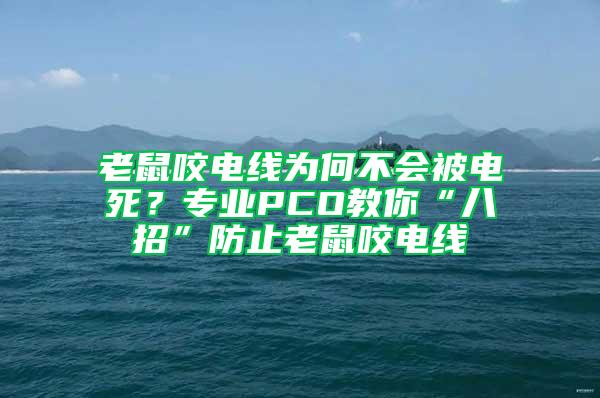 老鼠咬電線為何不會(huì)被電死？專(zhuān)業(yè)PCO教你“八招”防止老鼠咬電線