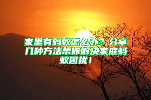 家里有螞蟻怎么辦？分享幾種方法幫你解決家庭螞蟻困擾！