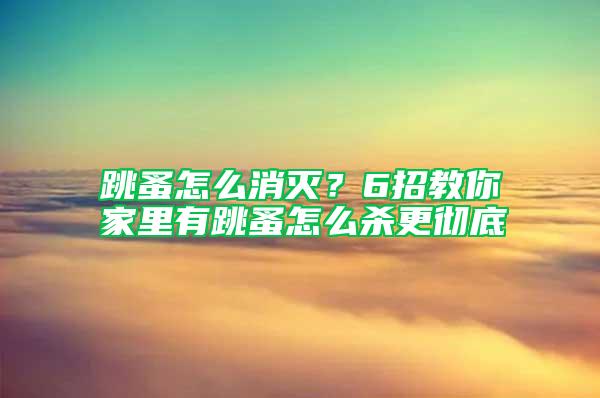 跳蚤怎么消滅？6招教你家里有跳蚤怎么殺更徹底