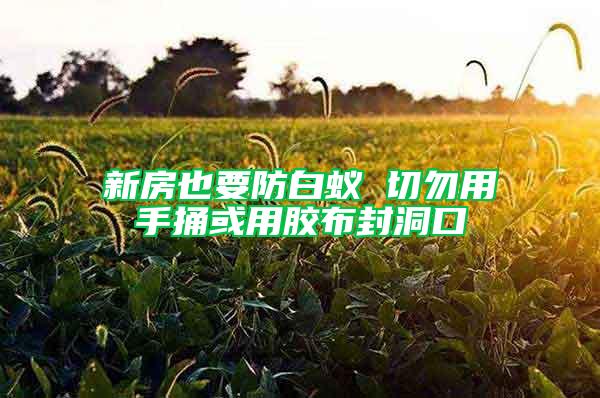 新房也要防白蟻 切勿用手捅或用膠布封洞口