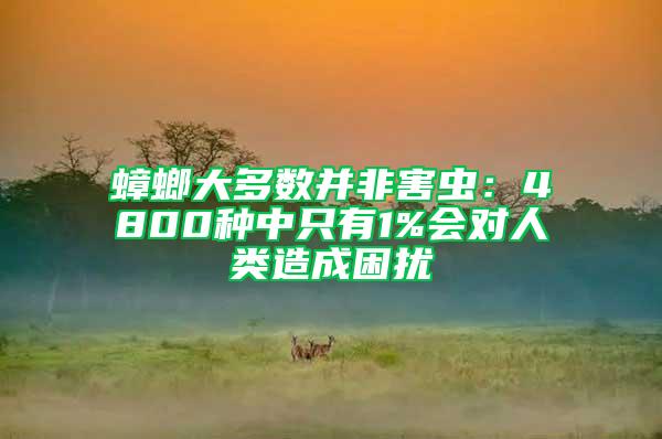 蟑螂大多數(shù)并非害蟲：4800種中只有1%會(huì)對(duì)人類造成困擾