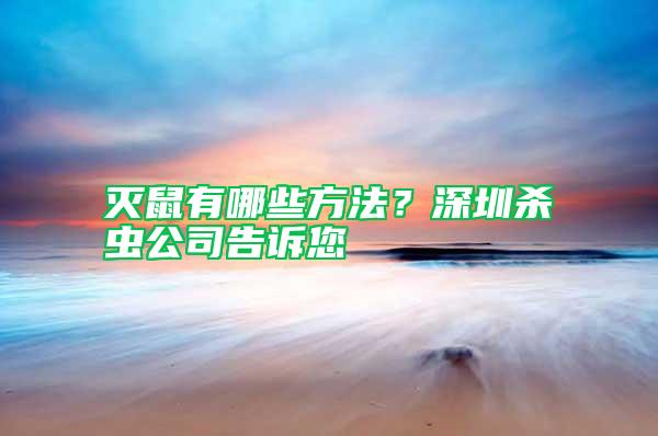 滅鼠有哪些方法？深圳殺蟲公司告訴您