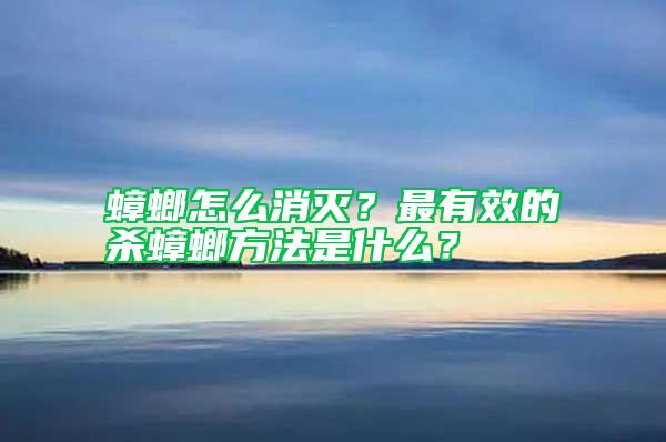 蟑螂怎么消滅？最有效的殺蟑螂方法是什么？