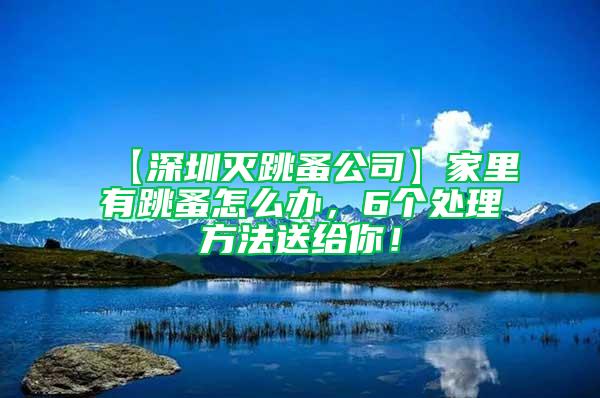 【深圳滅跳蚤公司】家里有跳蚤怎么辦，6個處理方法送給你！