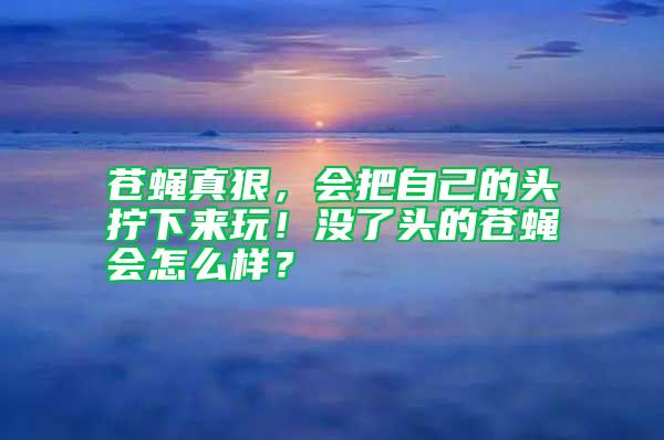 蒼蠅真狠，會(huì)把自己的頭擰下來玩！沒了頭的蒼蠅會(huì)怎么樣？