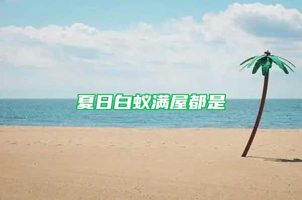 夏日白蟻滿屋都是