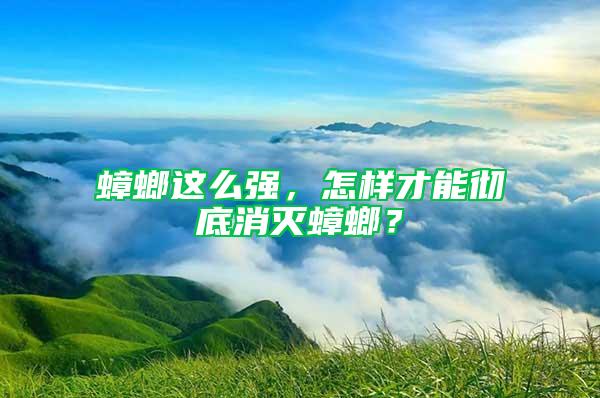 蟑螂這么強(qiáng)，怎樣才能徹底消滅蟑螂？