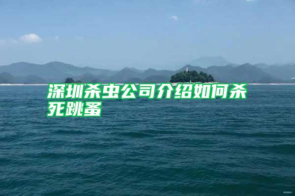 深圳殺蟲公司介紹如何殺死跳蚤