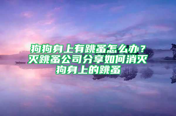 狗狗身上有跳蚤怎么辦？滅跳蚤公司分享如何消滅狗身上的跳蚤