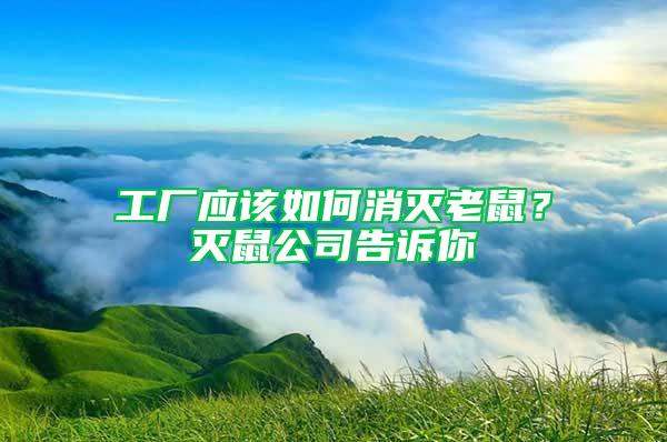 工廠應(yīng)該如何消滅老鼠？滅鼠公司告訴你