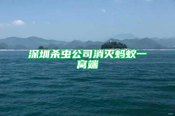 深圳殺蟲公司消滅螞蟻一窩端