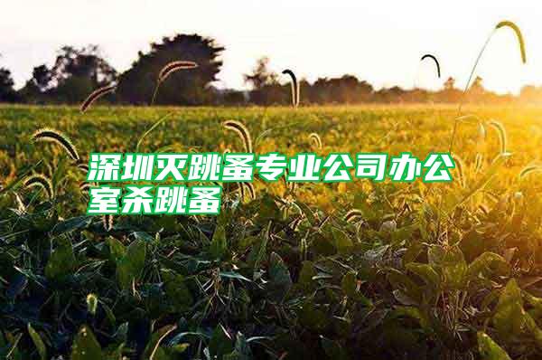 深圳滅跳蚤專業(yè)公司辦公室殺跳蚤