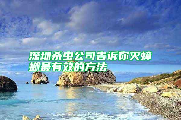 深圳殺蟲公司告訴你滅蟑螂最有效的方法