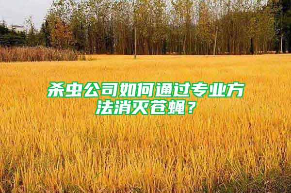 殺蟲公司如何通過專業(yè)方法消滅蒼蠅？