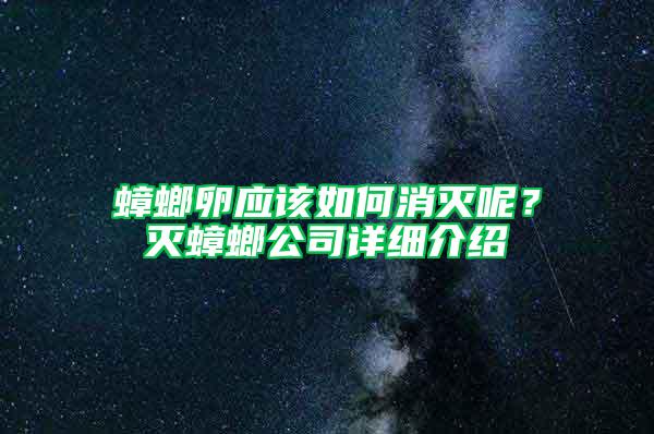 蟑螂卵應(yīng)該如何消滅呢？滅蟑螂公司詳細(xì)介紹