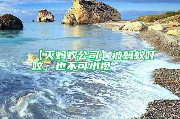 【滅螞蟻公司】被螞蟻叮咬，也不可小視