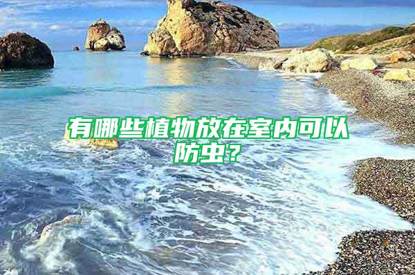 有哪些植物放在室內(nèi)可以防蟲(chóng)？