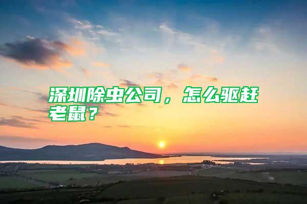 深圳除蟲公司，怎么驅(qū)趕老鼠？