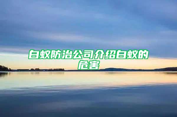 白蟻防治公司介紹白蟻的危害