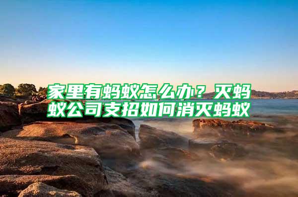 家里有螞蟻怎么辦？滅螞蟻公司支招如何消滅螞蟻