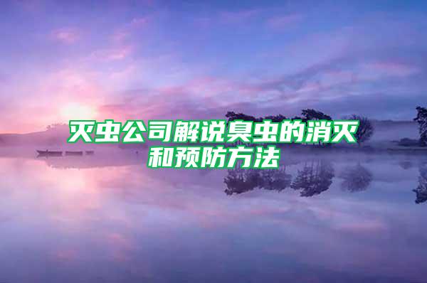 滅蟲公司解說臭蟲的消滅和預(yù)防方法