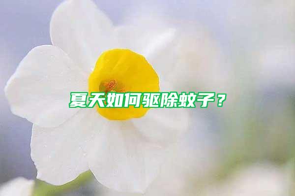 夏天如何驅除蚊子？