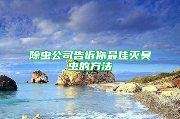 除蟲(chóng)公司告訴你最佳滅臭蟲(chóng)的方法