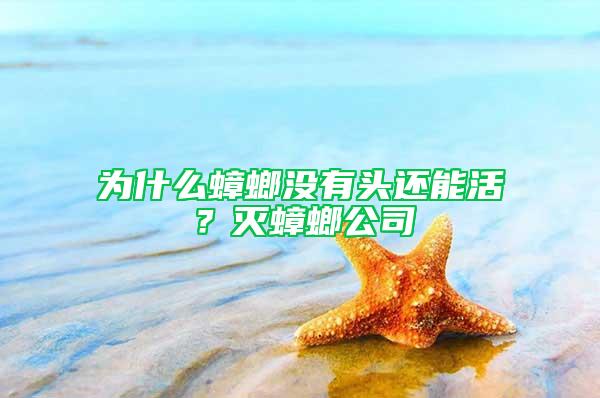 為什么蟑螂沒有頭還能活？滅蟑螂公司