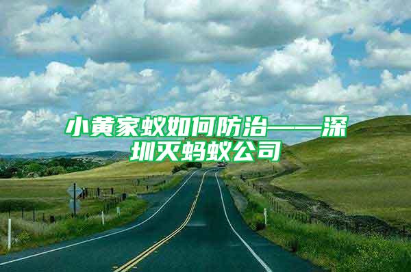 小黃家蟻如何防治——深圳滅螞蟻公司