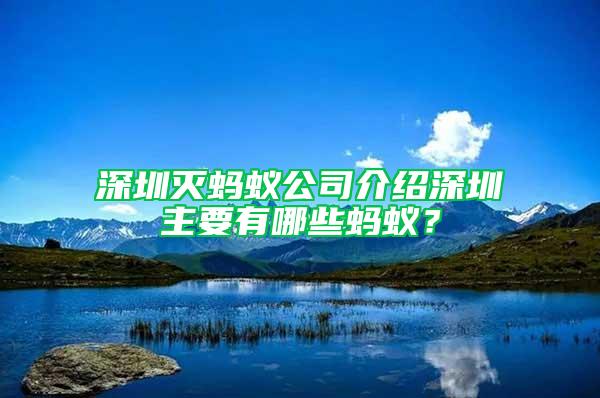 深圳滅螞蟻公司介紹深圳主要有哪些螞蟻？