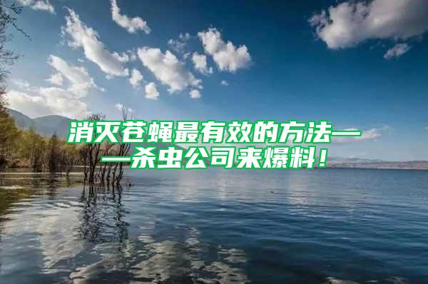 消滅蒼蠅最有效的方法——殺蟲公司來爆料！