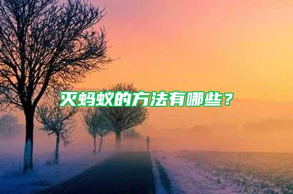 滅螞蟻的方法有哪些？