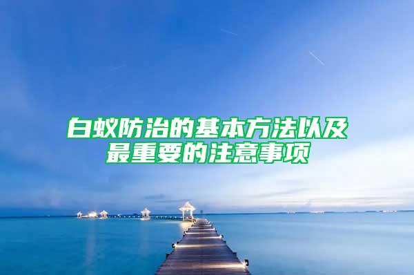 白蟻防治的基本方法以及最重要的注意事項