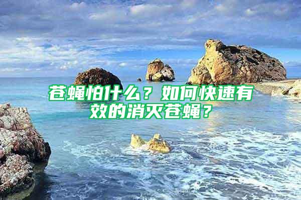 蒼蠅怕什么？如何快速有效的消滅蒼蠅？