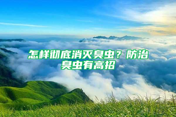 怎樣徹底消滅臭蟲？防治臭蟲有高招