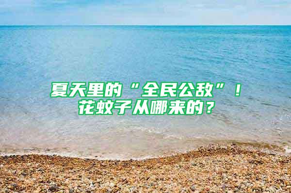 夏天里的“全民公敵”！花蚊子從哪來的？